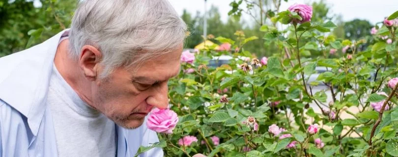 Older Adult Stimulation His Smell Sense at a Garden