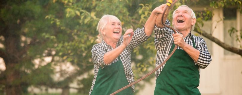 Couple of seniors enjoying gardening together